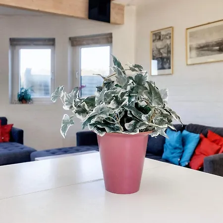 Holiday Lxxv Ferienhaus Blokhus